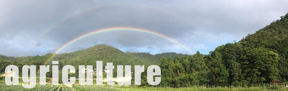 移住促進(イベント)事業部
